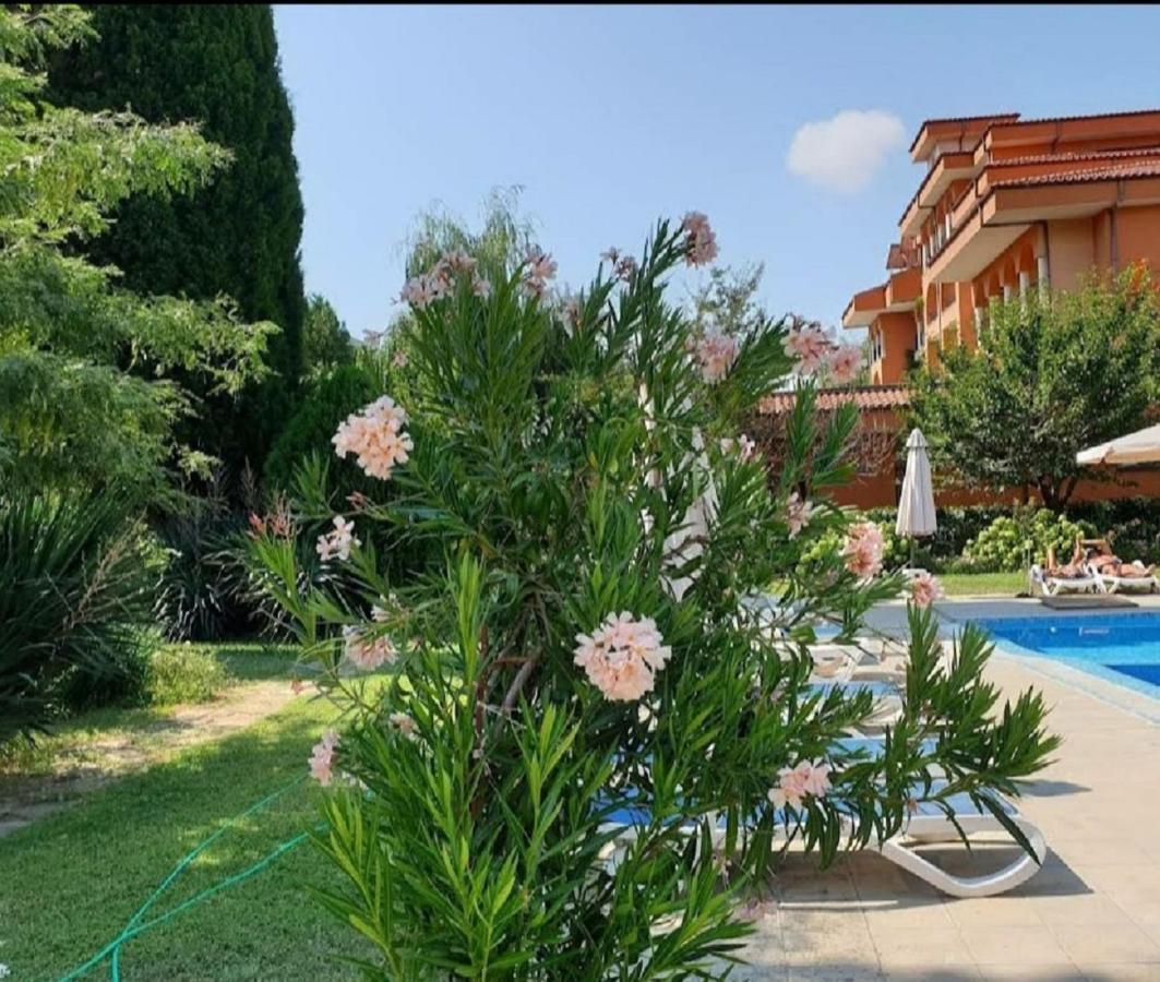 Family Hotel Magnolia Sunny Beach Eksteriør billede