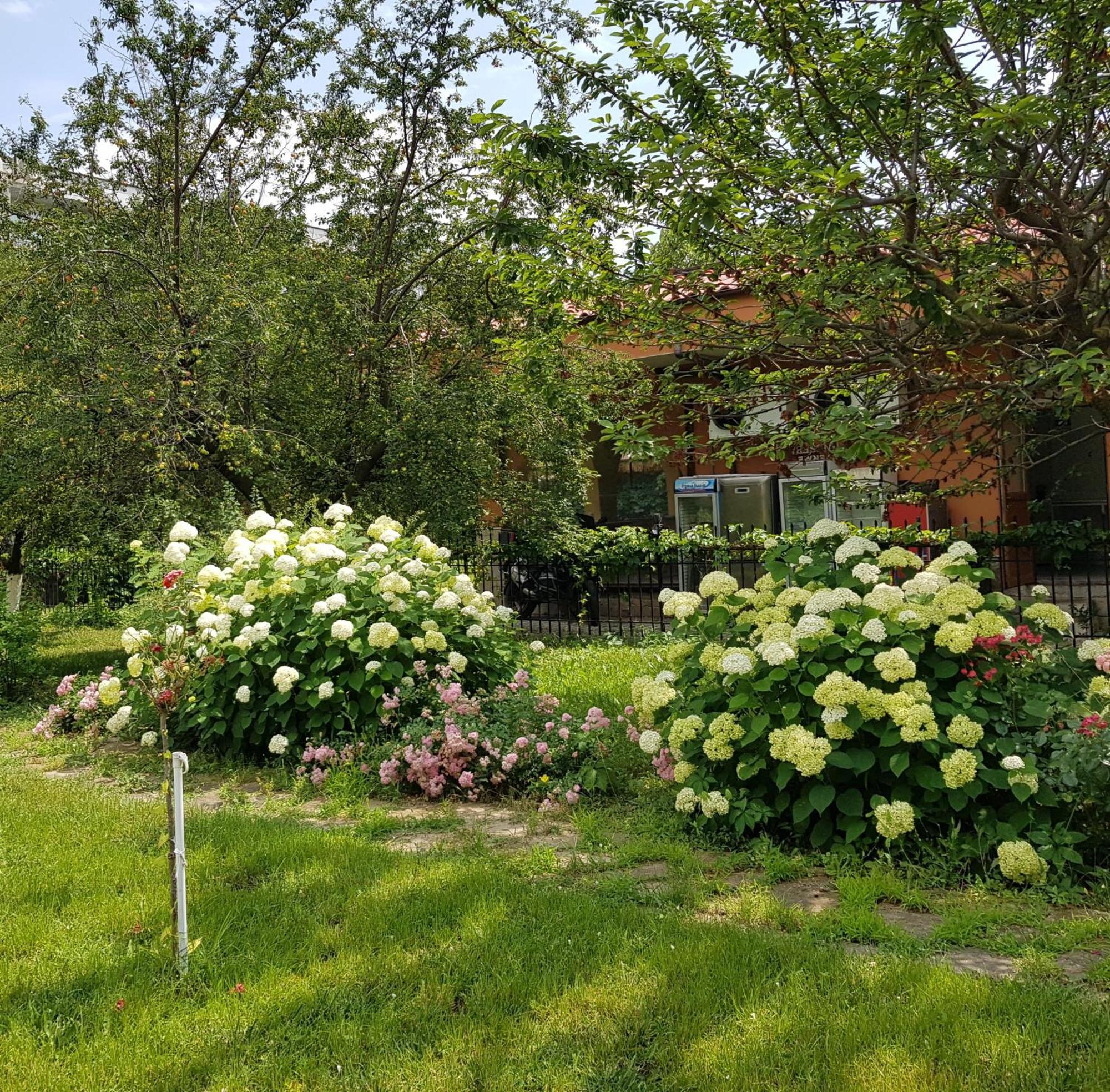 Family Hotel Magnolia Sunny Beach Eksteriør billede
