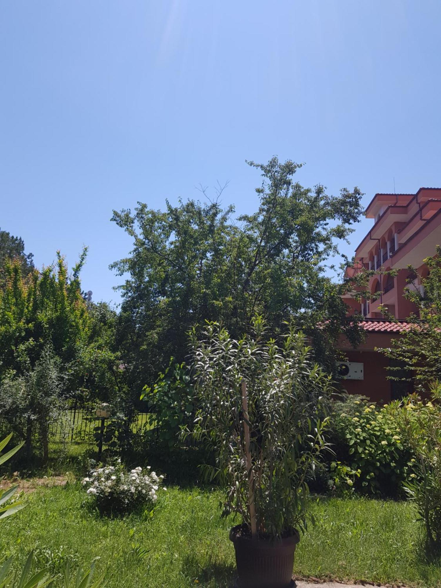 Family Hotel Magnolia Sunny Beach Eksteriør billede